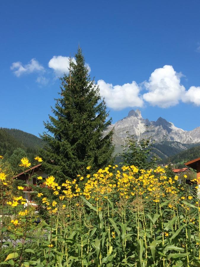 Zur Lieben Sonne *
